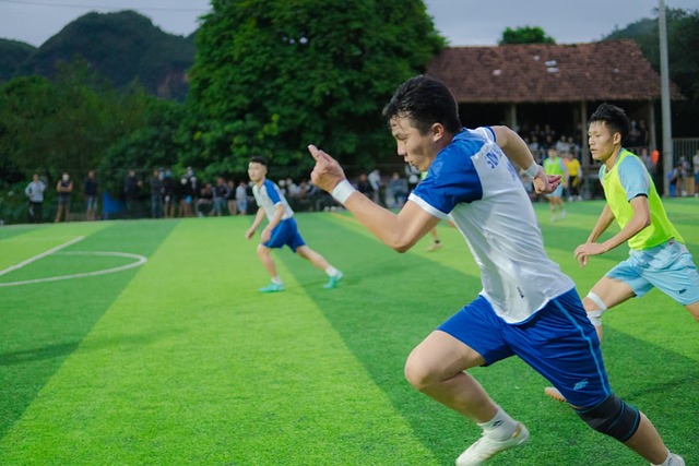 稳定的战力 稳定的战力