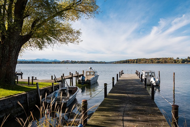 为本赛季的 为本赛季的