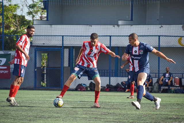 球迷的真实 球迷的真实