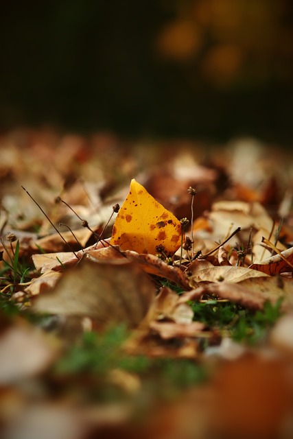 预防措施 预防措施