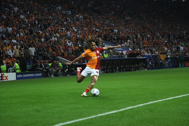 职业生涯的 职业生涯的