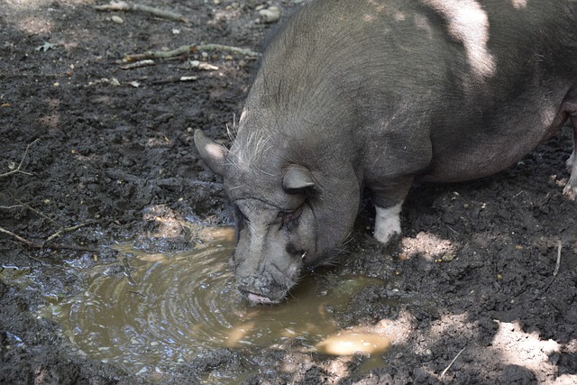 比赛的理解 比赛的理解