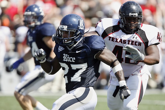 公牛队在人 公牛队在人