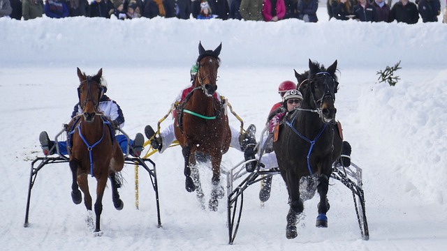 會輕易放手 會輕易放手