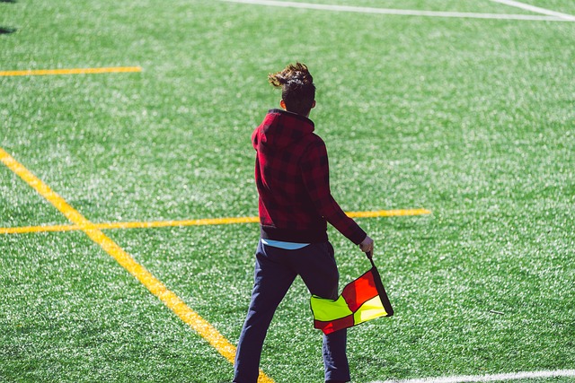 也是对未来 也是对未来